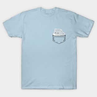 British Shorthair in a pocket T-Shirt